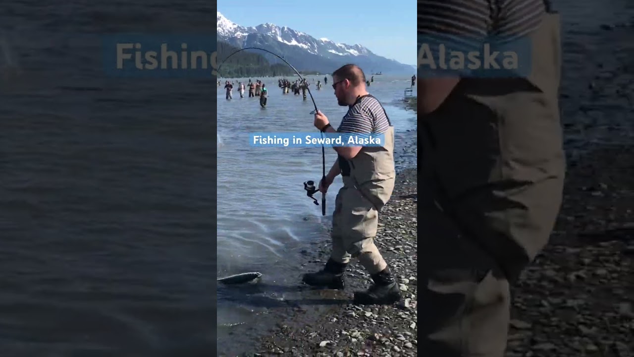 Fishing in Seward, Alaska off Nash Road #shorts