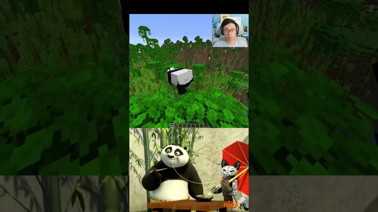 Minecraft Panda Moment