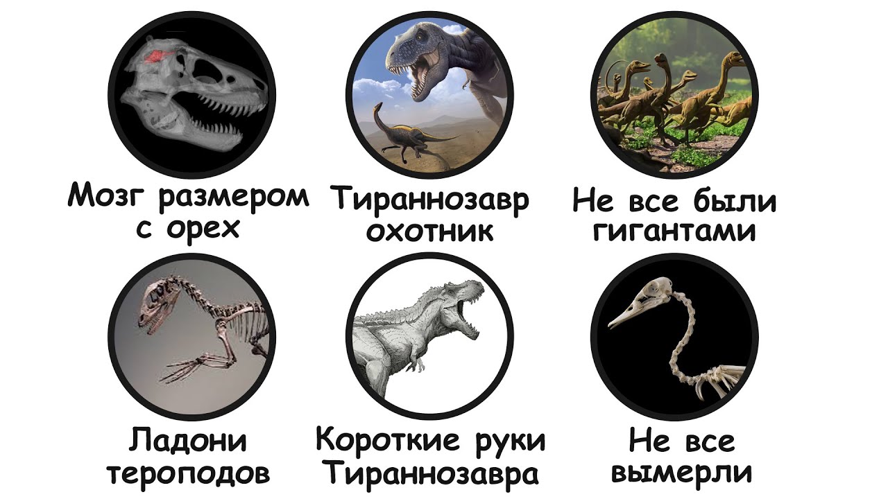 Все мифы про динозавров