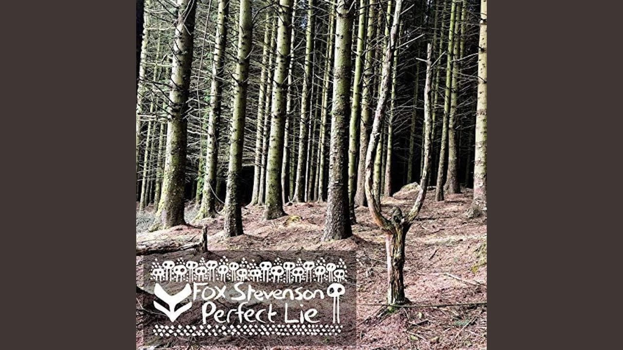Perfect Lie