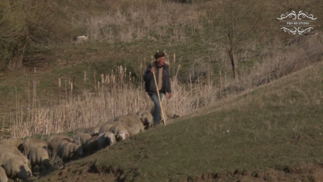 Istoria localității Topolog - Comunitatea turcească