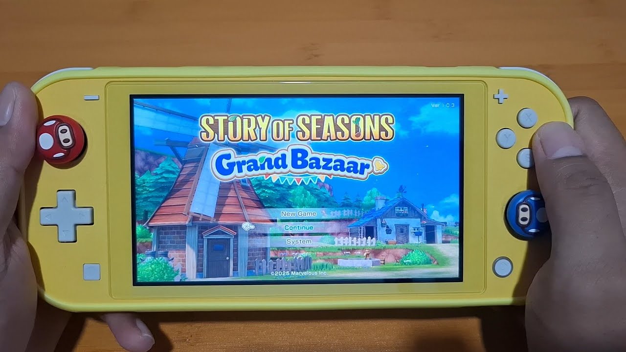 Story Of Seasons Grand Bazaar Nintendo Switch Lite Gameplay