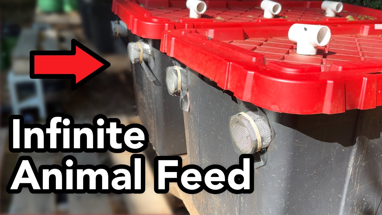 How To Make Infinite FREE Animal Feed