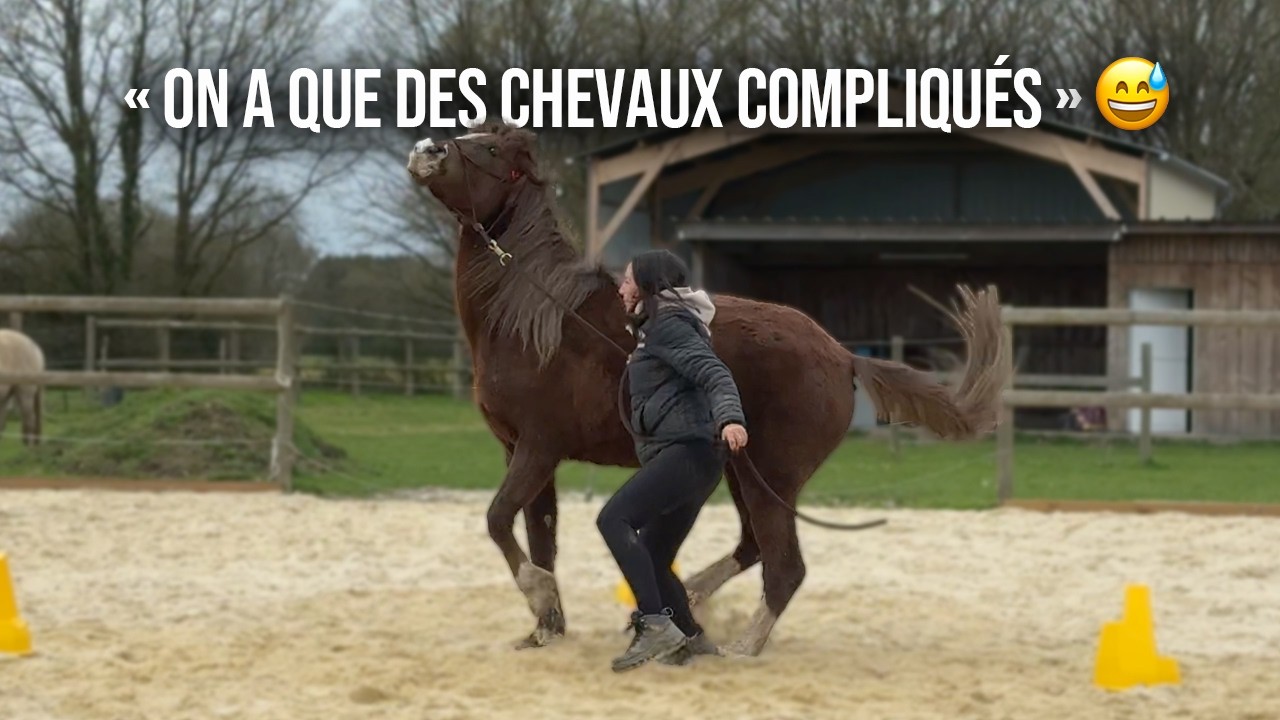 [JOUR 6] - C'EST PAS TOUS LES JOURS FACILE D'ÊTRE COACH 😅
