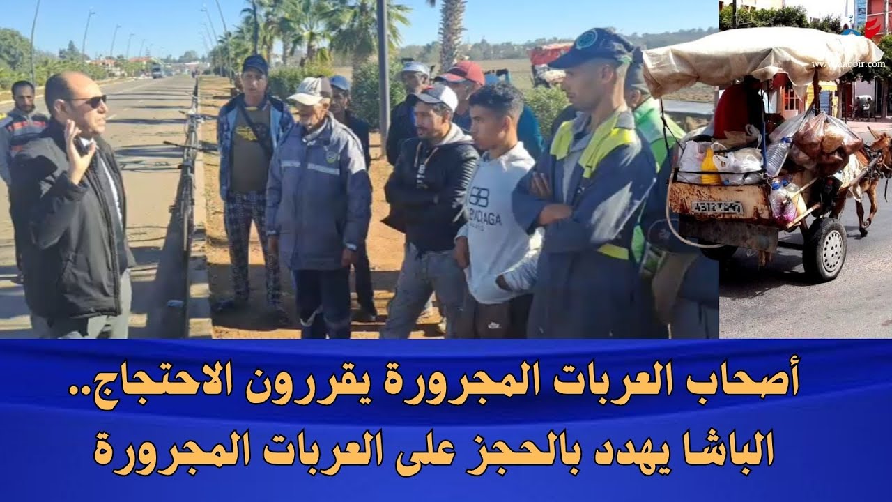 أصحاب العربات المجرورة يقررون الاحتجاج.. الباشا يهدد بالحجز على العربات المجرورة