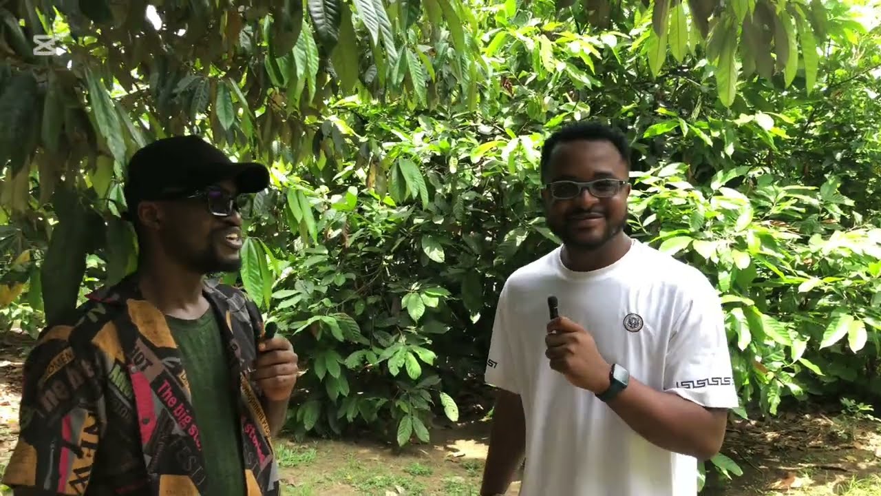 How I Made ₦9.6 Million from Pig Farming in Just 12 Months!