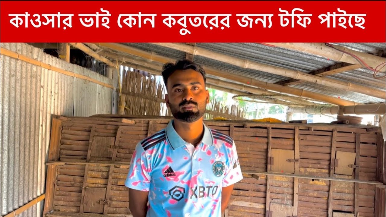 কাওসার ভাই কোন কবুতরের জন্য টফি পাইছে দেখুন 😳💁|| কাওসার ভাইয়ের কিছু রেজাল্ট করা কবুতর দেখুন 🔥😳|| 