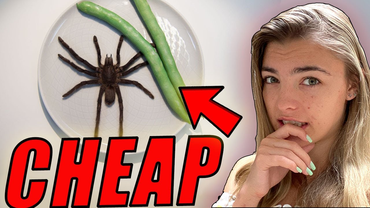 How I Get Cheap Groceries | MUST WATCH