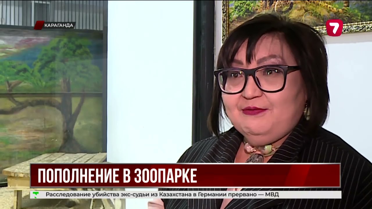 В Карагандинском зоопарке появились краснокнижные гиены