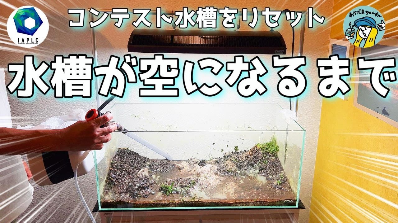 【アクアリウム】世界水草レイアウトコンテスト水槽をリセットしていく（空の水槽はお好きですか？）
