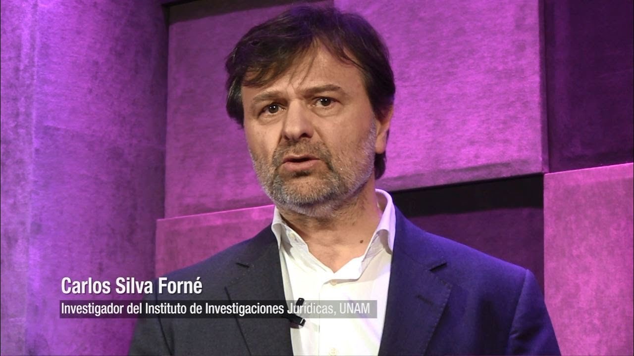 Seguridad P&uacute;blica y Polic&iacute;a, IIJUNAM