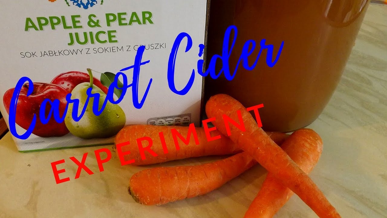 Carrot Cider experiment