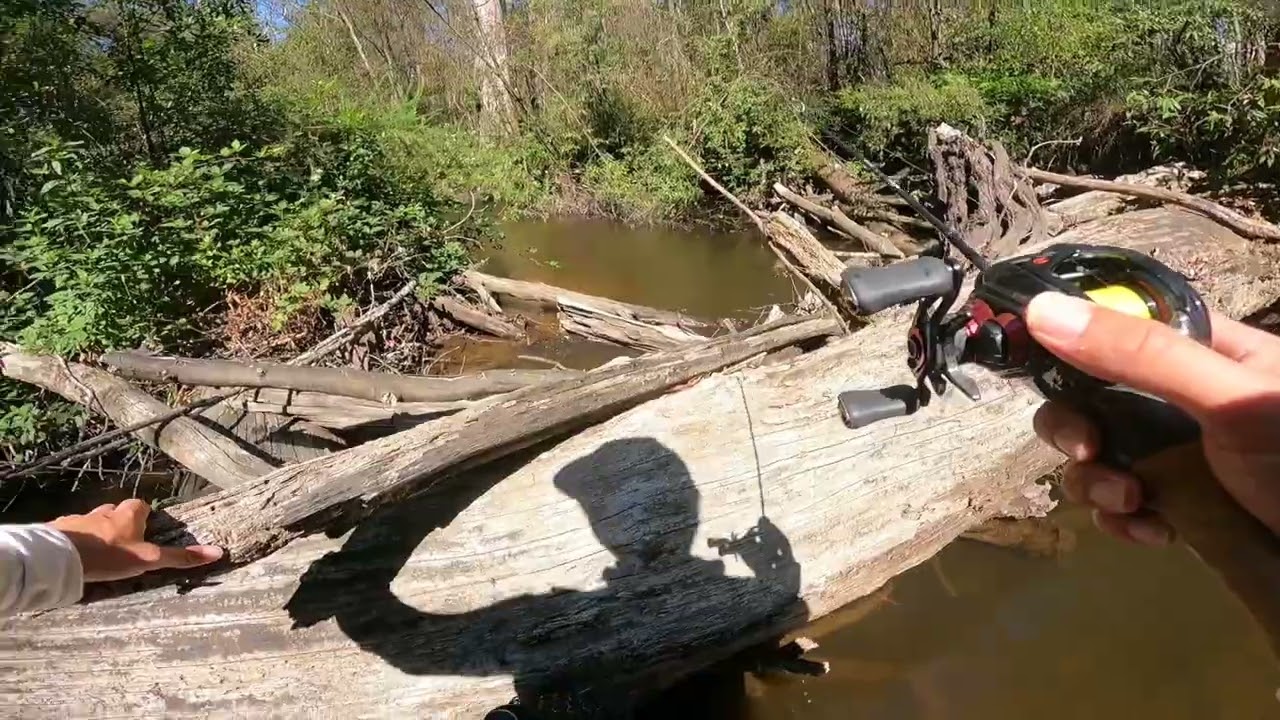 Exploring new water, trout fishing Melbourne.  Using Daiwa Gekkabijin TW