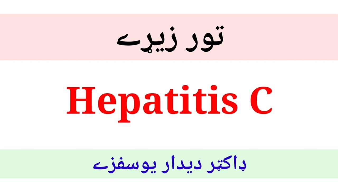 Who can get Hepatitis C Virus (pashto) تور زيړے ولې خپريږي او ځان ترې څنګ بچ کولے شو