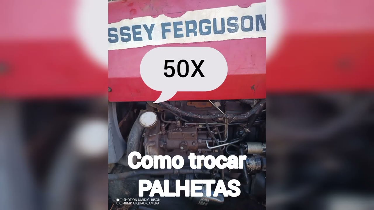 Bomba injetora MF50X, Como Trocar PALHETAS ANEL Excêntrico