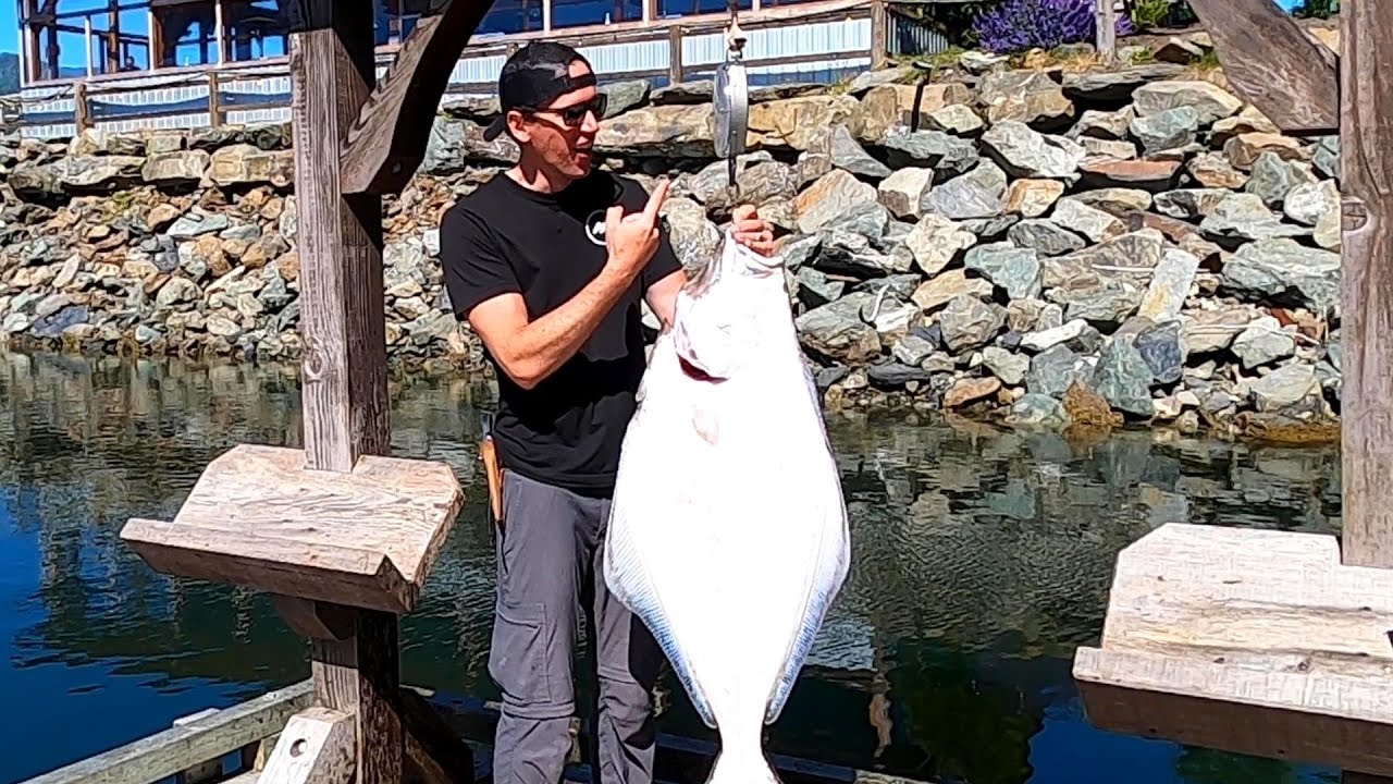 We Harpooned A Huge Halibut On The West Coast Of Vancouver Island!!