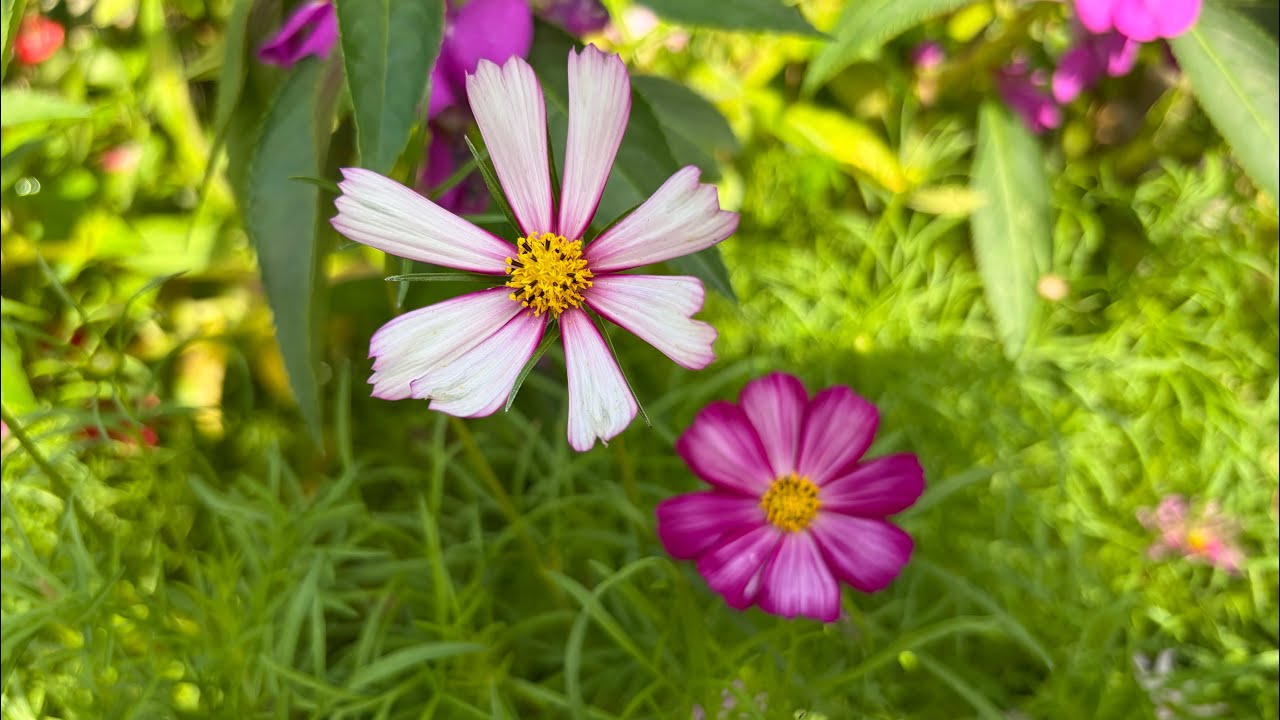 Tiệc Tất Niên & Valentine’s day 