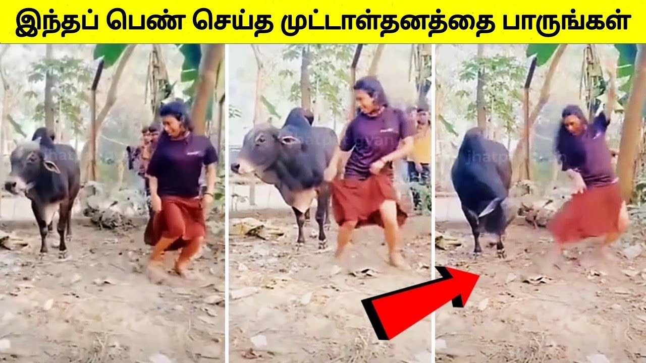 கேமராவில் பதிவான மிரள வைக்கும் சம்பவங்கள் | Moments caught on camera | Tamil Wonders
