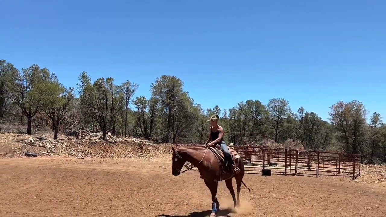 Softening a stiff horse is Lateral Flexion