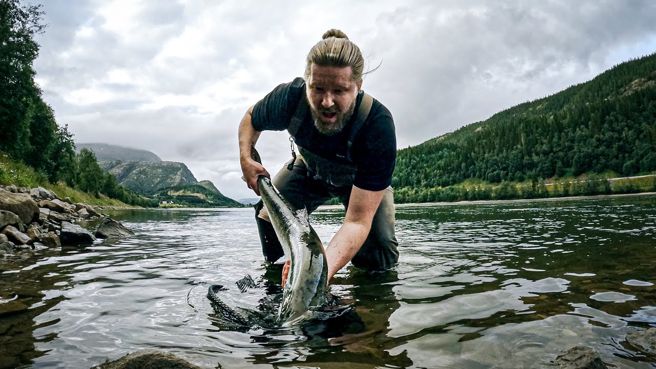 Min første storlaks, laksefiske ved Nes Gård i Vefsna - Utmarka S03E16
