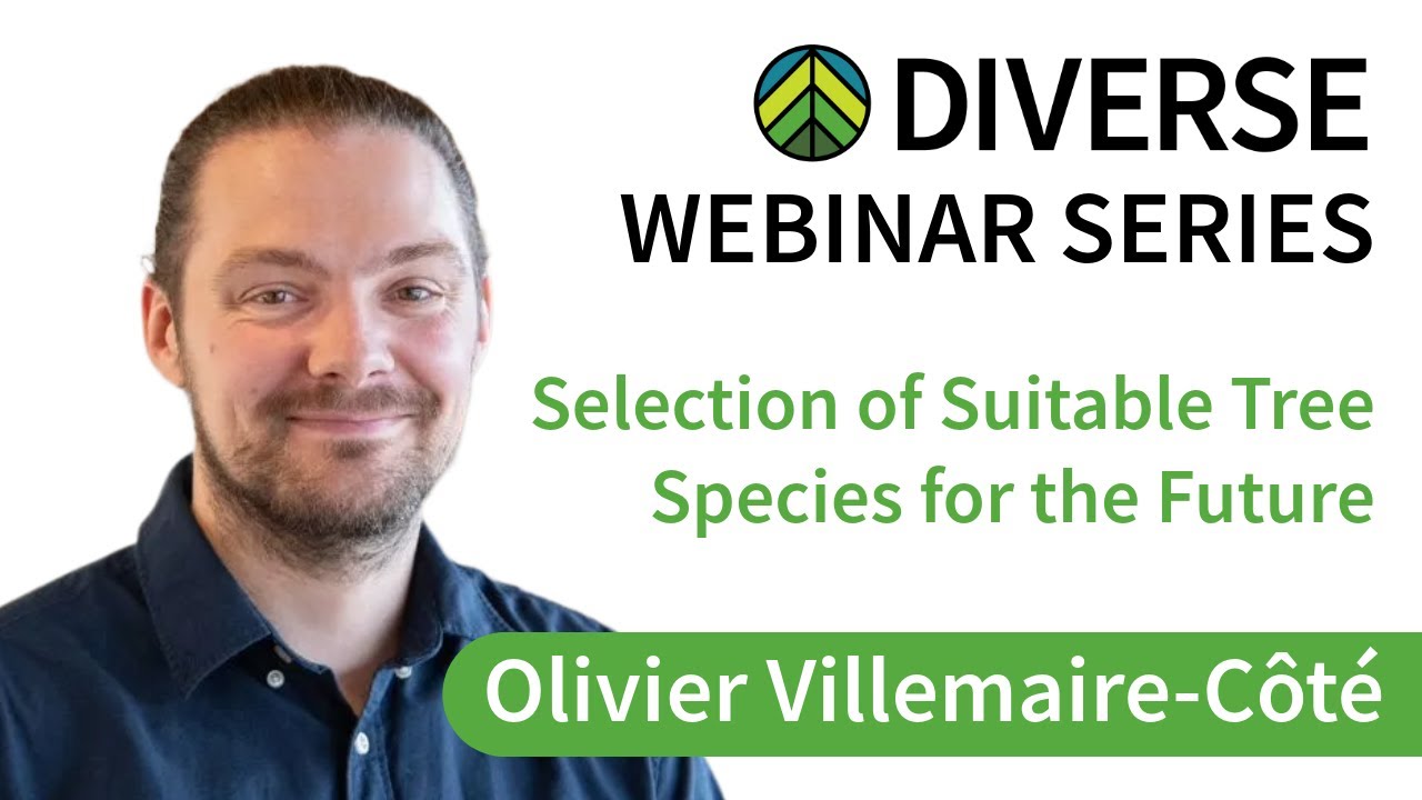 DIVERSE Webinar Series #5: Selection of Suitable Tree Species for the Future