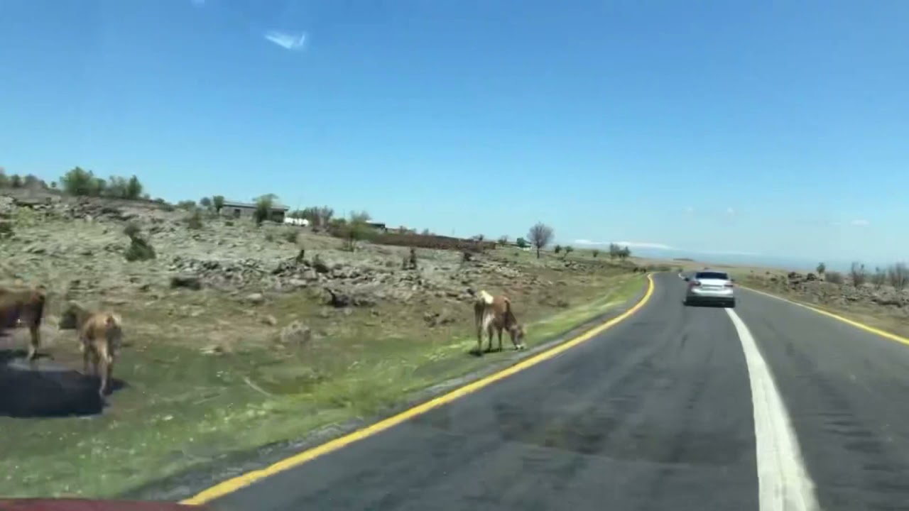 VİRANŞEHİR DİYARBAKIR YOLU