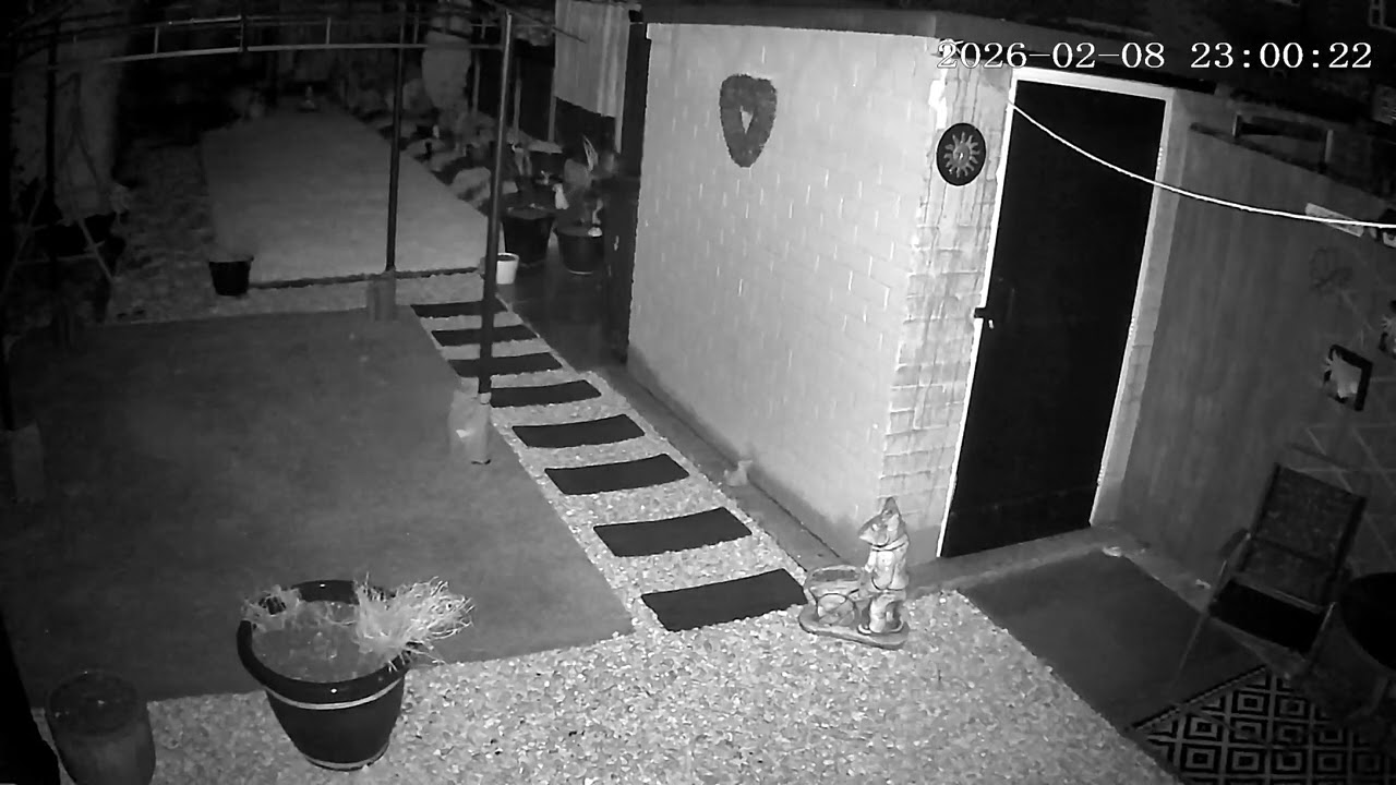 (8/2/2026) 22:58pm HULL (Uk) BYC [0517]