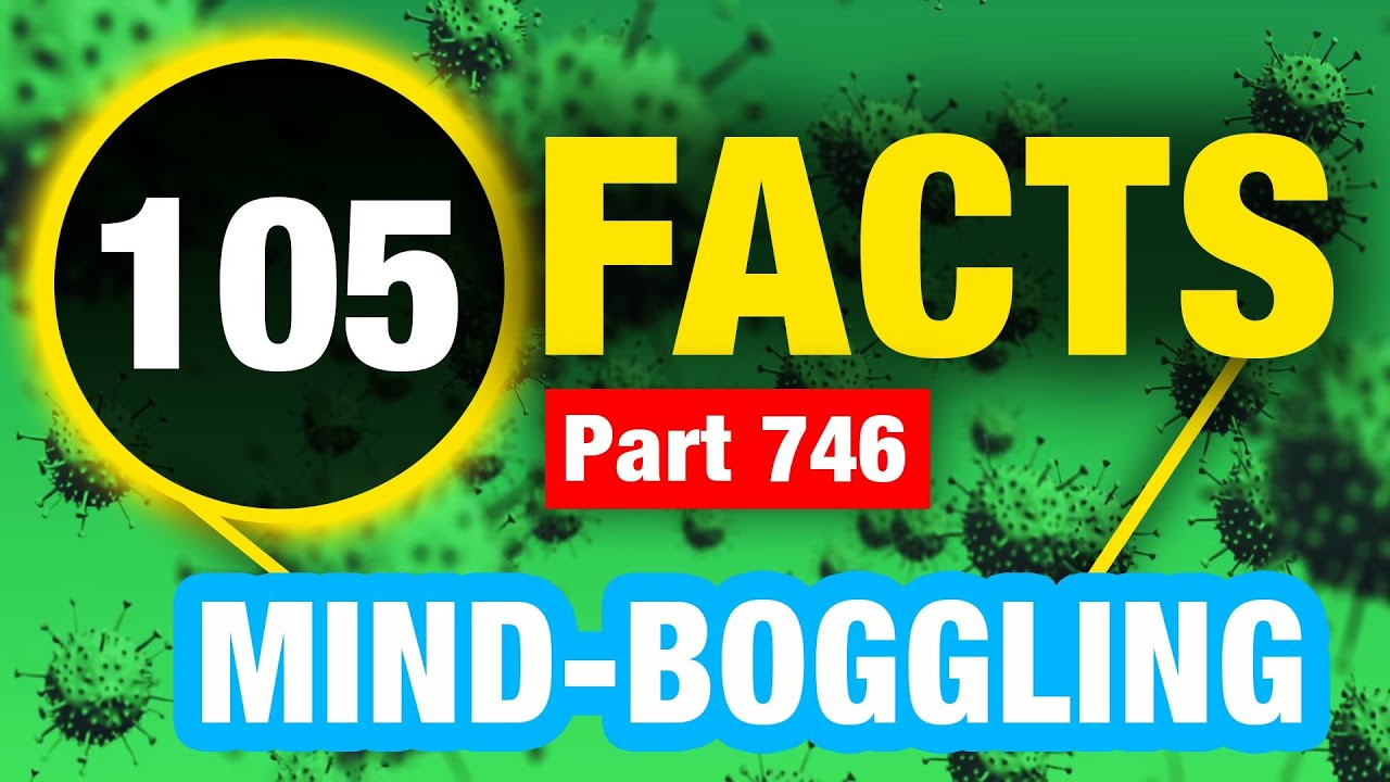 105 Facts That Will Blow Your Mind | Incredible Weird Facts