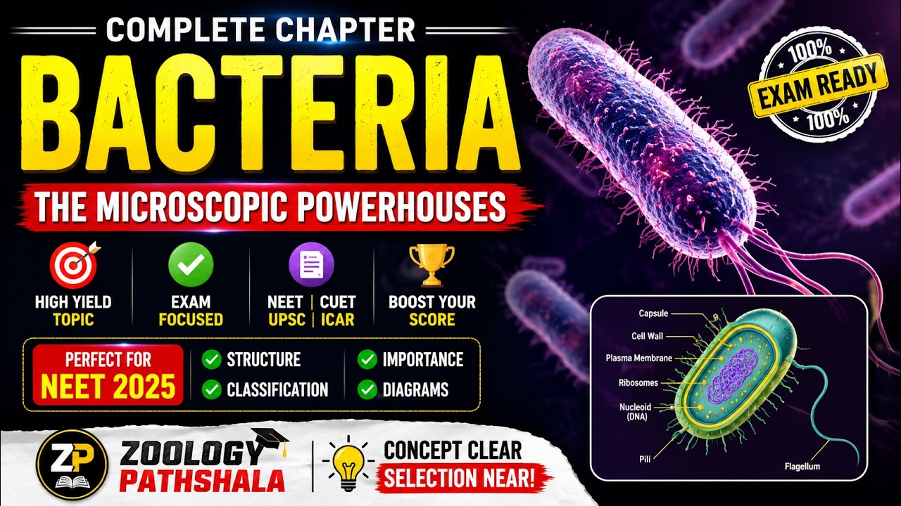 Bacteria | Important Zoology Topic for NEET, UP LT Grade & CSIR-NET @ZoologyPathshala #bacteria 