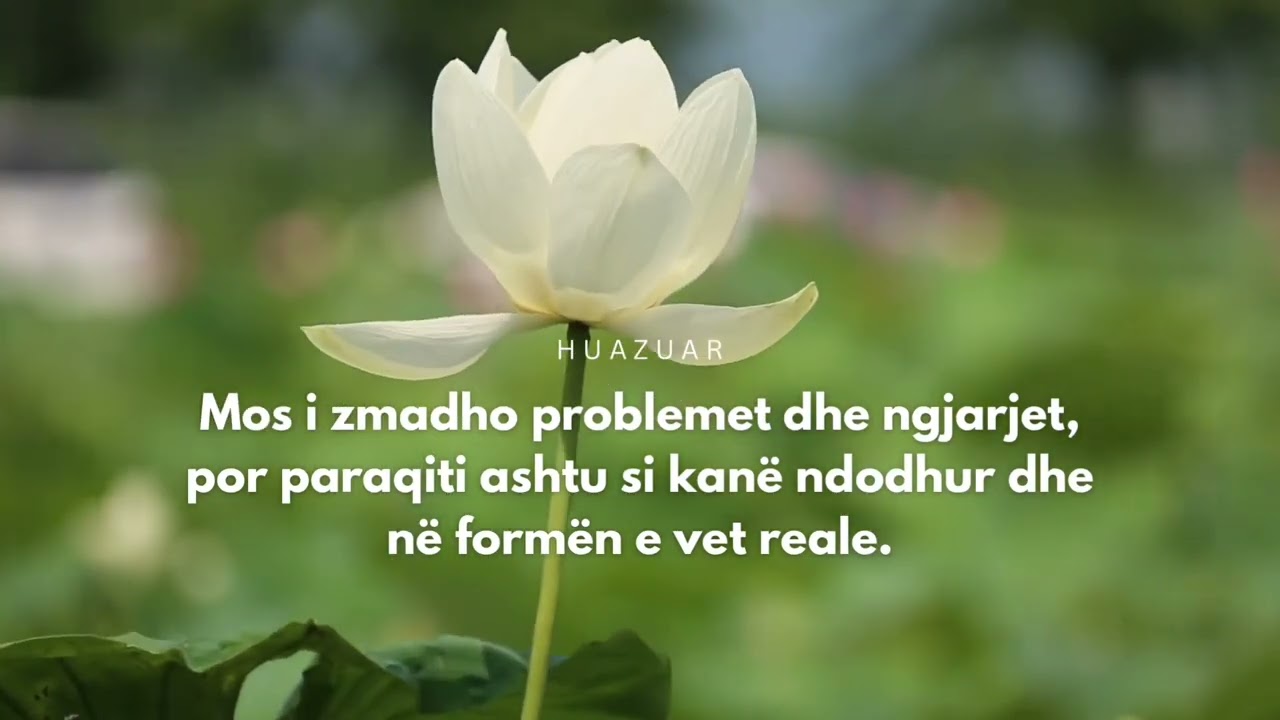 Mos i zmadho problemet dhe ngjarjet, por paraqiti ashtu si kan&euml; ndodhur dhe n&euml; form&euml;n e vet reale.