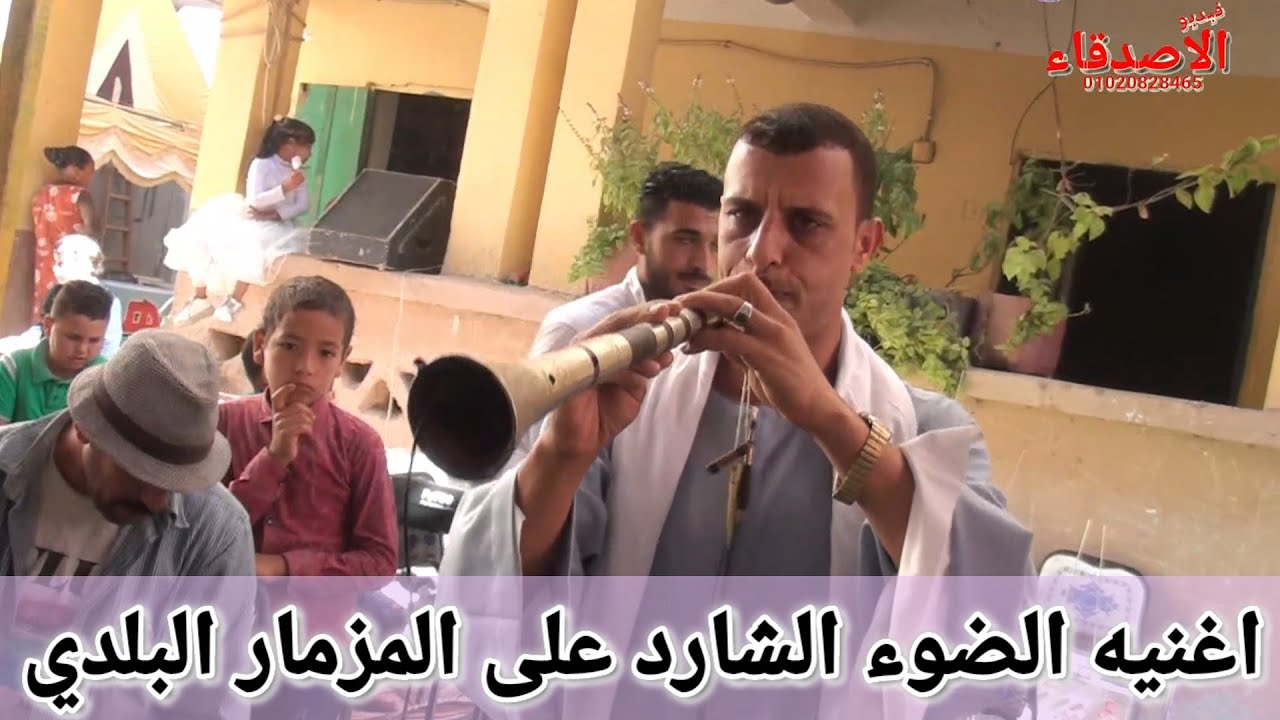 اغنيه الضوء الشارد على المزمار البلدي من الريس ياسر معوض فرح اشرف ابو خضر المستعمرة الشرقيه