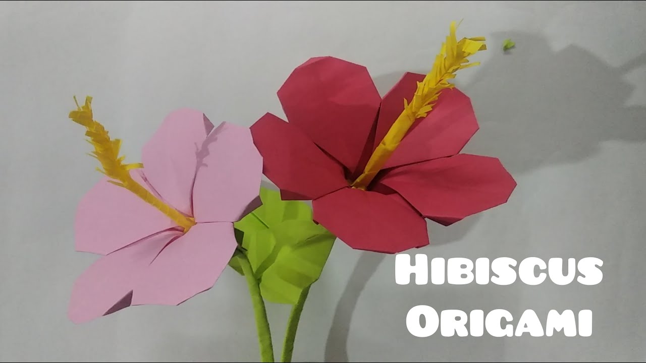 Hibiscus origami | Paper flower | Origami ideas | paper craft ideas