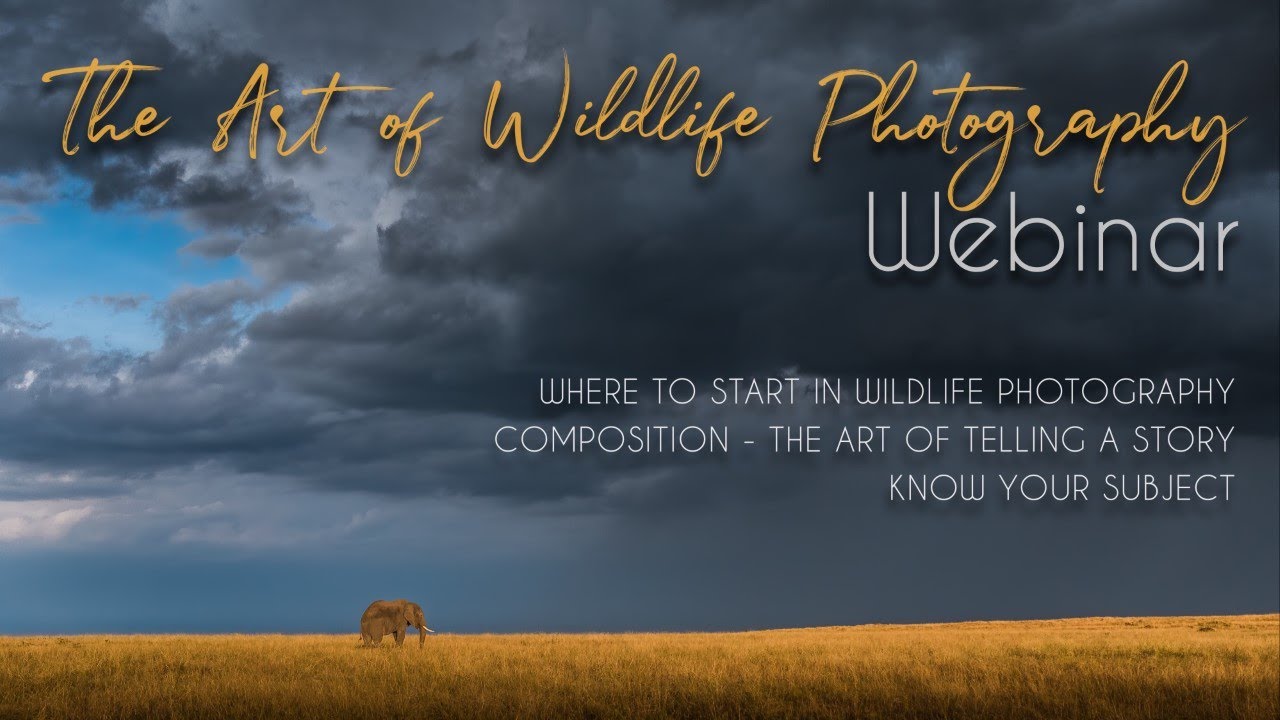The Art of Wildlife Photography - Webinar