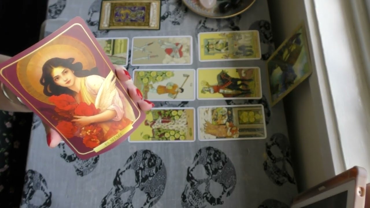 Sagittarius “DON'T WORRY SAG, WHAT YOU'RE WORKING ON IS PROTECTED!” February 2026 Tarot