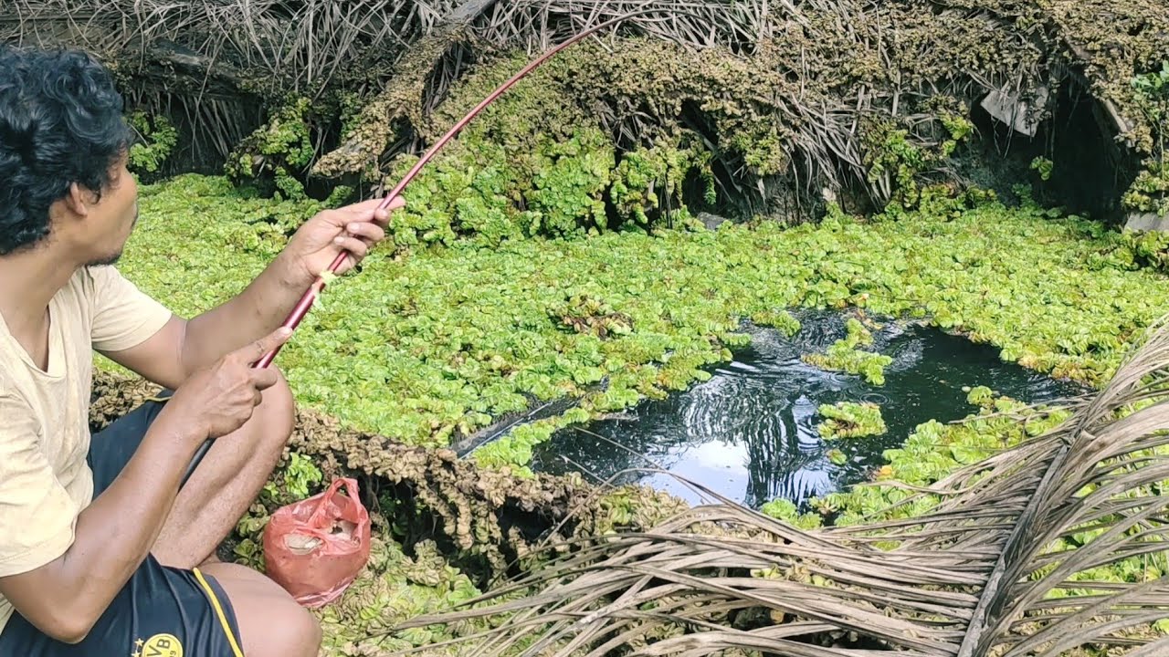 NGERIII...!!! SAK SANDAL SANDAL BESAR NYA PENGHUNI PARIT INI