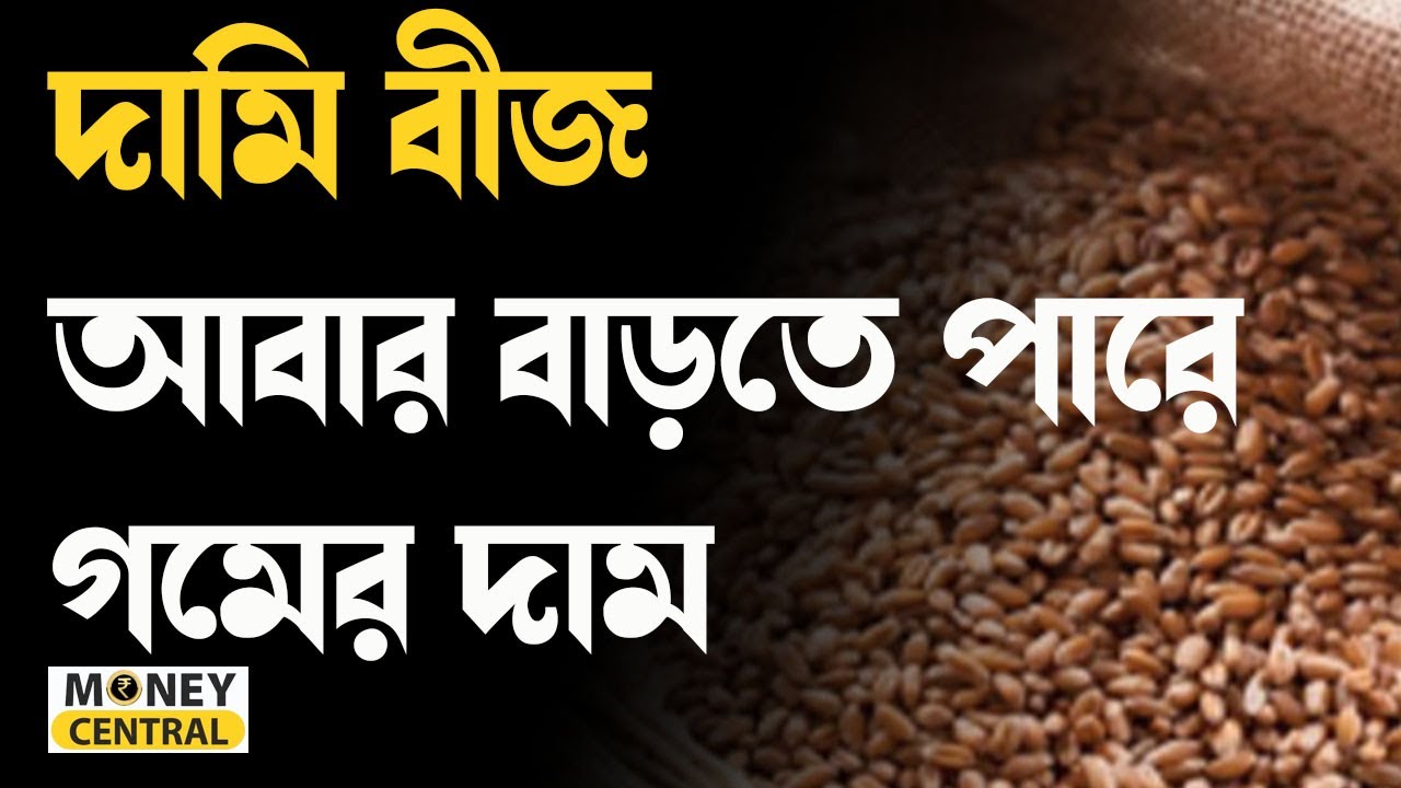 Expensive seeds, wheat prices may increase again. Wheat production. Money9