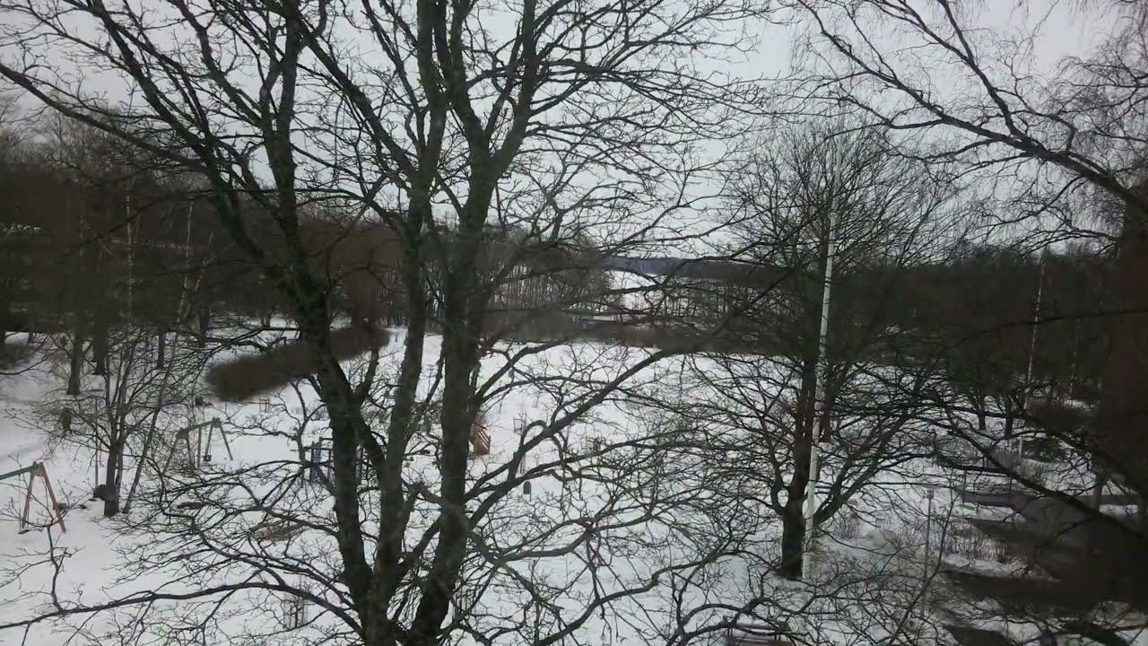 Daily Timelapse Pi0Cam 2026-03-02