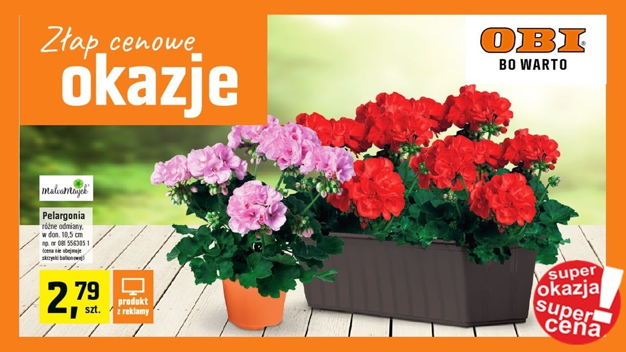 ( Gazetka Archiwalna ) Nowa Gazetka OBI od 25.04.2018 | Maj&oacute;wka