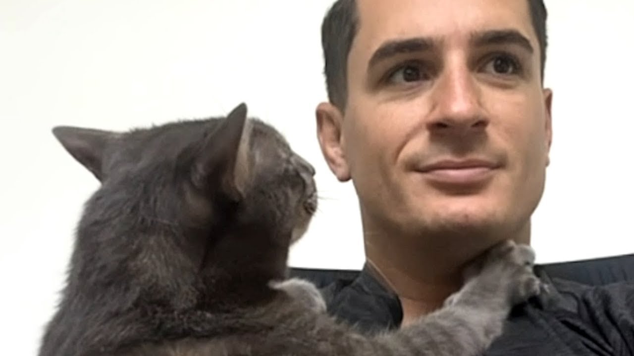 This Giant Gentle Cat Absolutely Refuses to Leave My Husband’s Side
