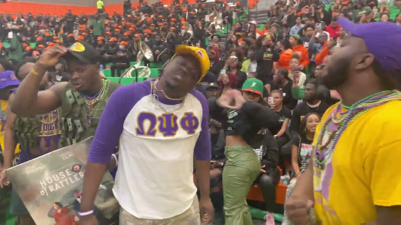 FAMU Ques, Deltas, & Zetas Strolling to Knuck If You Buck