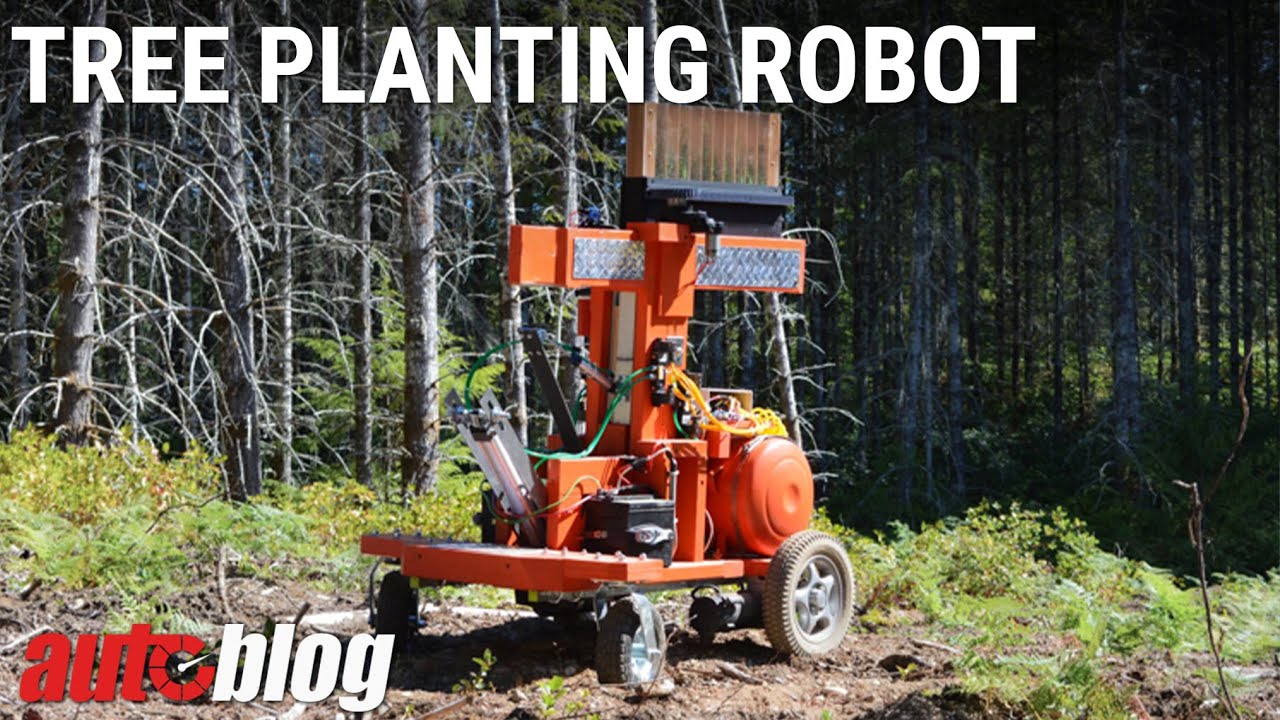 Tree planting robot