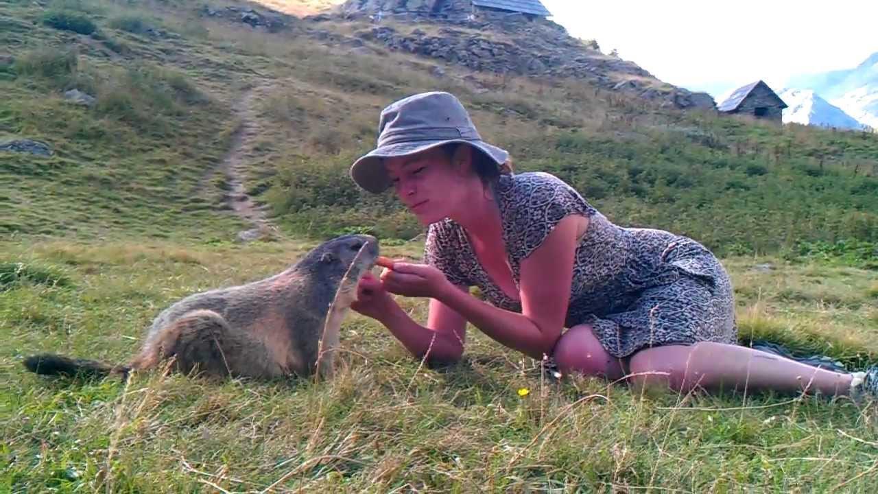 rencontre magique avec une marmotte