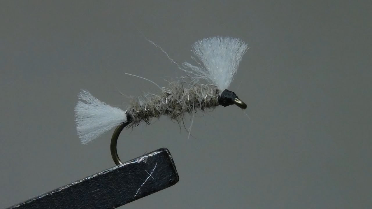 Montage d'un shipman buzzer