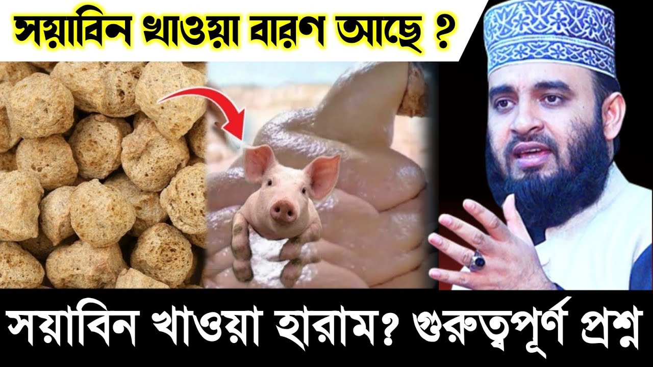 সয়াবিন খাওয়া হারাম? Soyabean Khaoya Haram Na Halal? Mizanur Rahman Azhari Bayan | Islamic video - ik