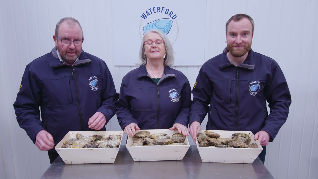 Waterford Oysters
