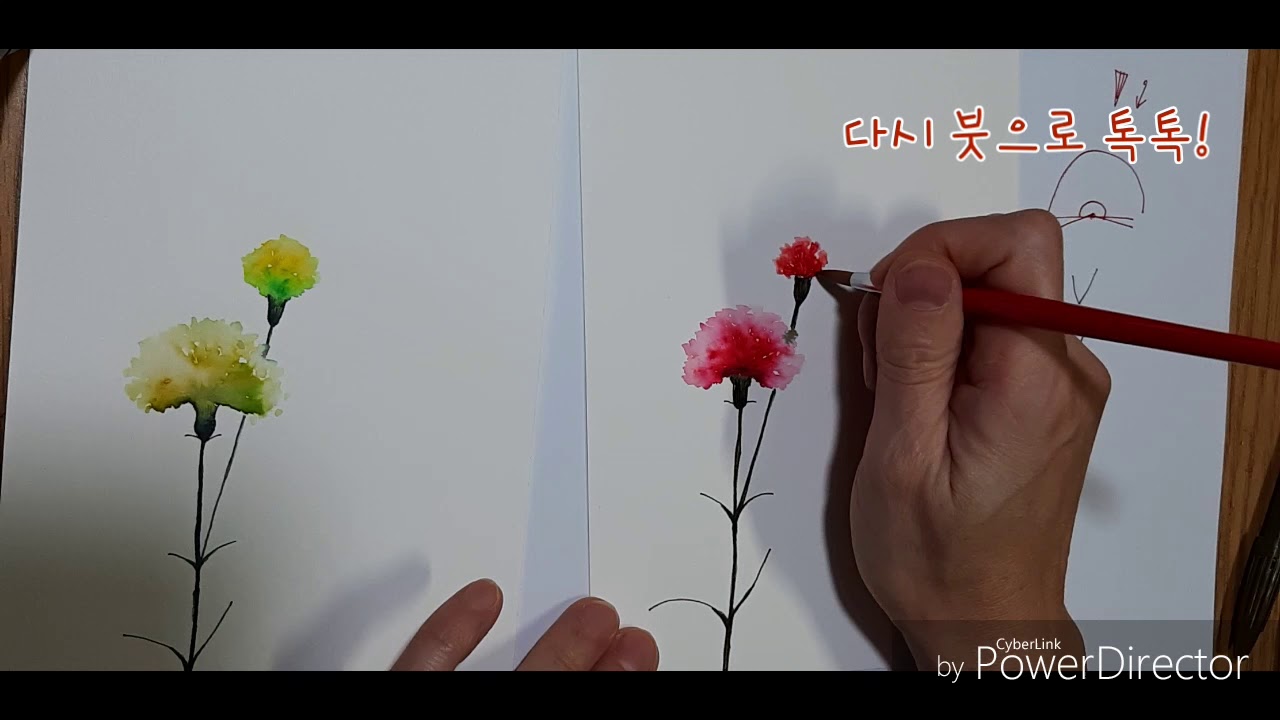 ep1. 글로 마음을 전하세요.[feat.플러스펜/캘리그라피/카네이션)