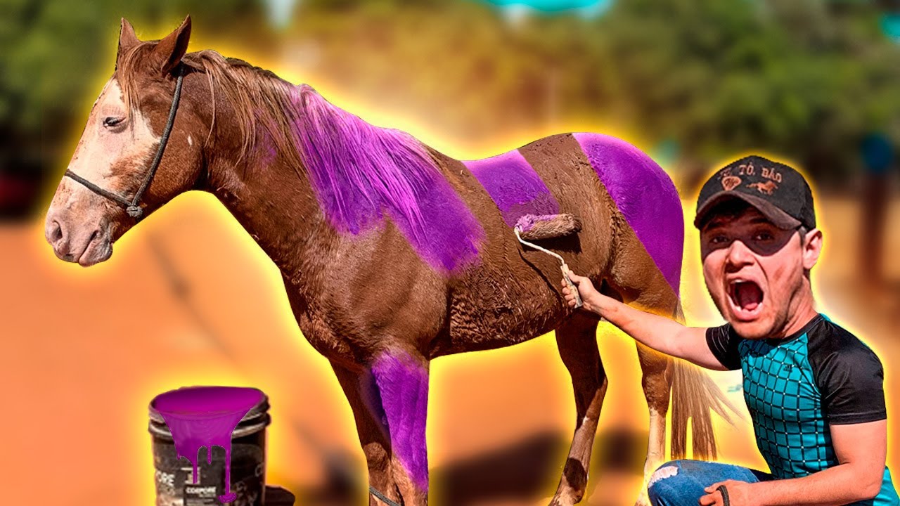 PINTEI o CAVALO MUSTANG do STARLEY REZENDE