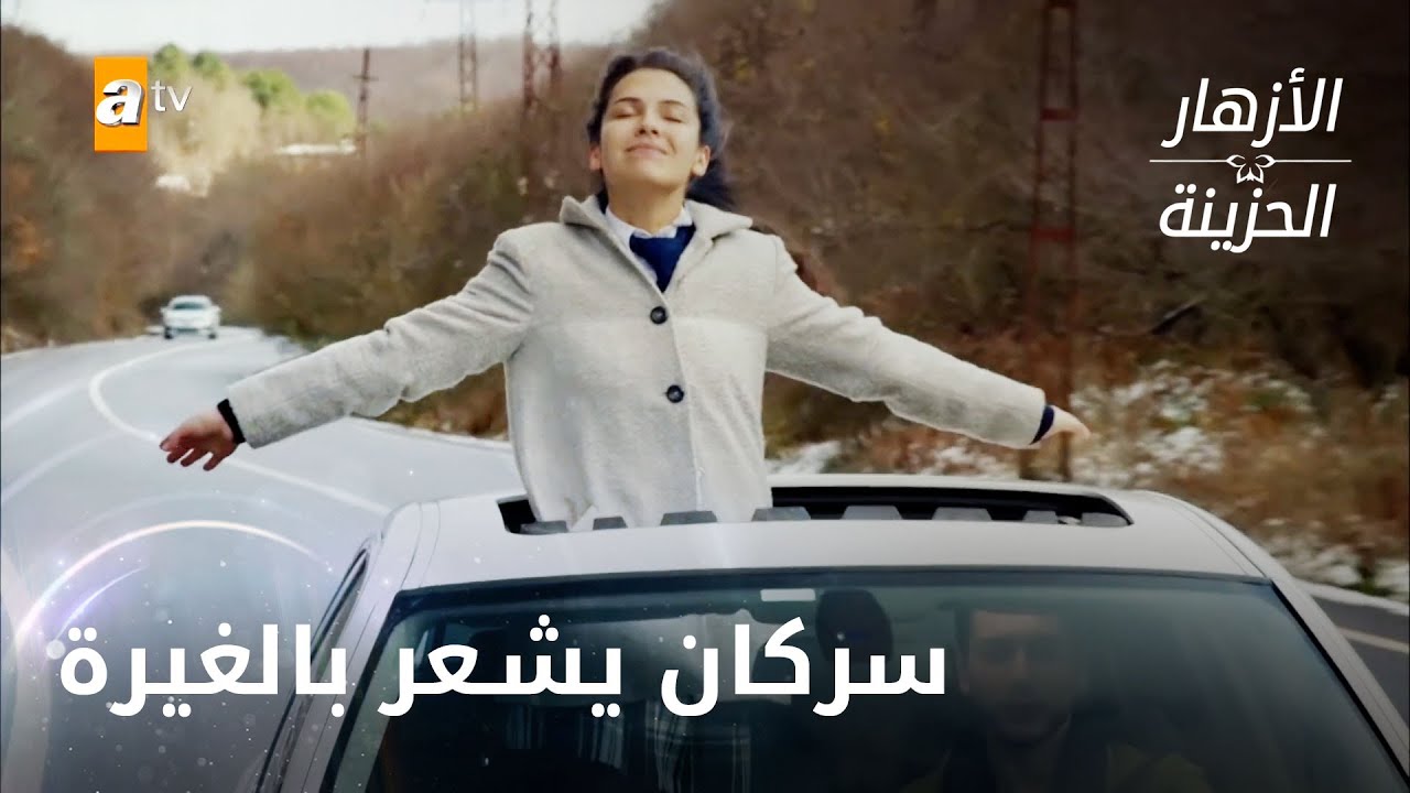 لماذا أيلول تتصرف بغرابة؟ الحلقة 195 - الأزهار الحزينة