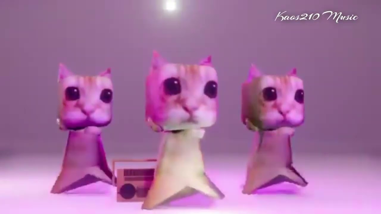 ay mi gatito miau miau tiktok (1 hour) | MONTAGEM MIAU 😺