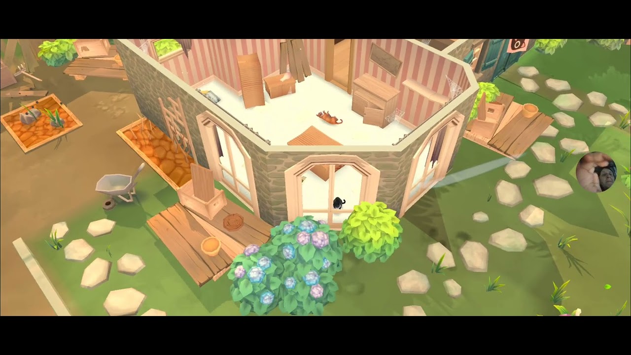 Playing cat rescue story 